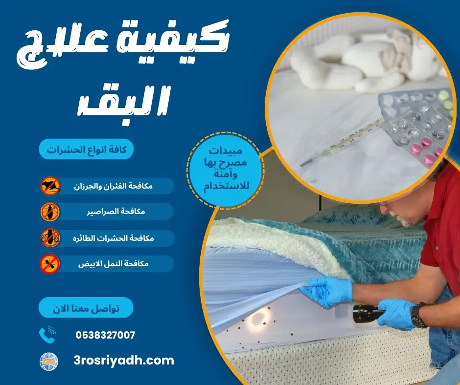 كيفية علاج البق