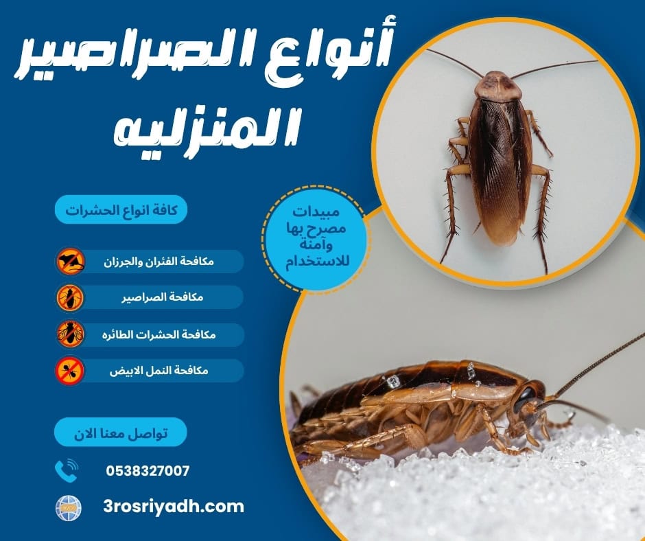 أنواع الصراصير المنزليه