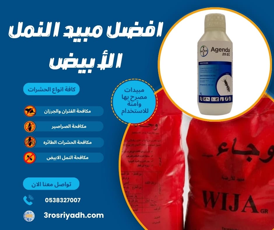 افضل مبيد النمل الأبيض