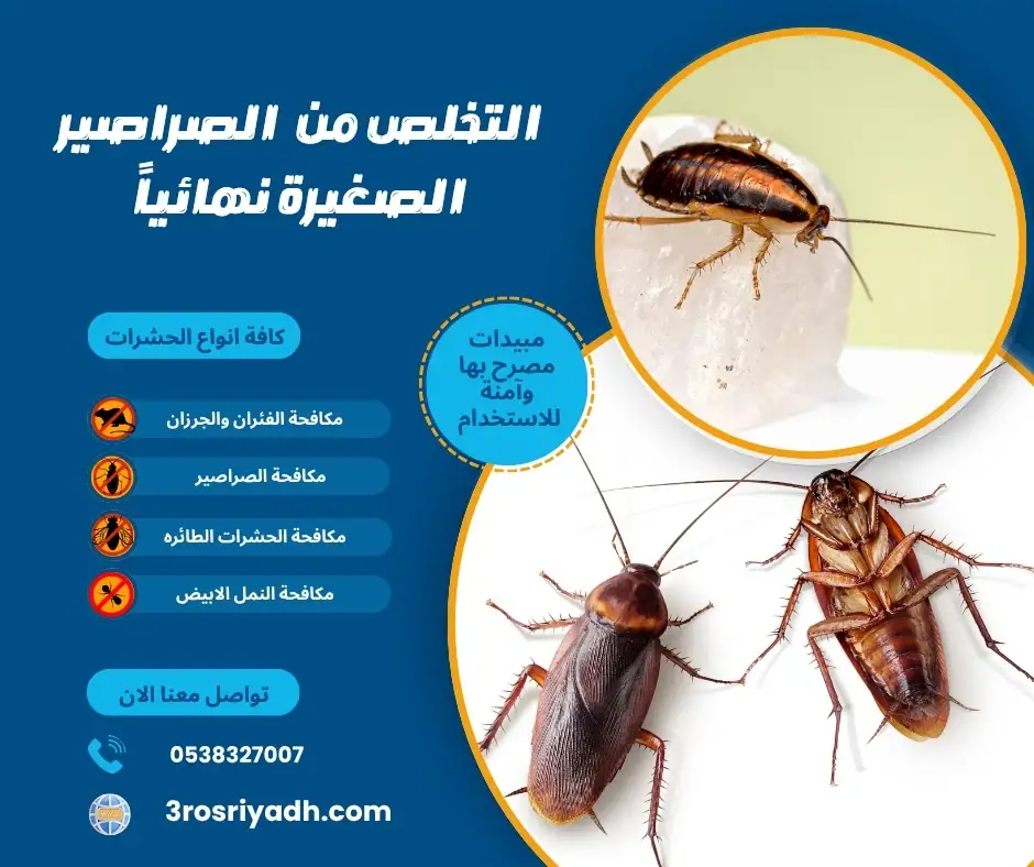 التخلص من الصراصير الصغيرة نهائياً