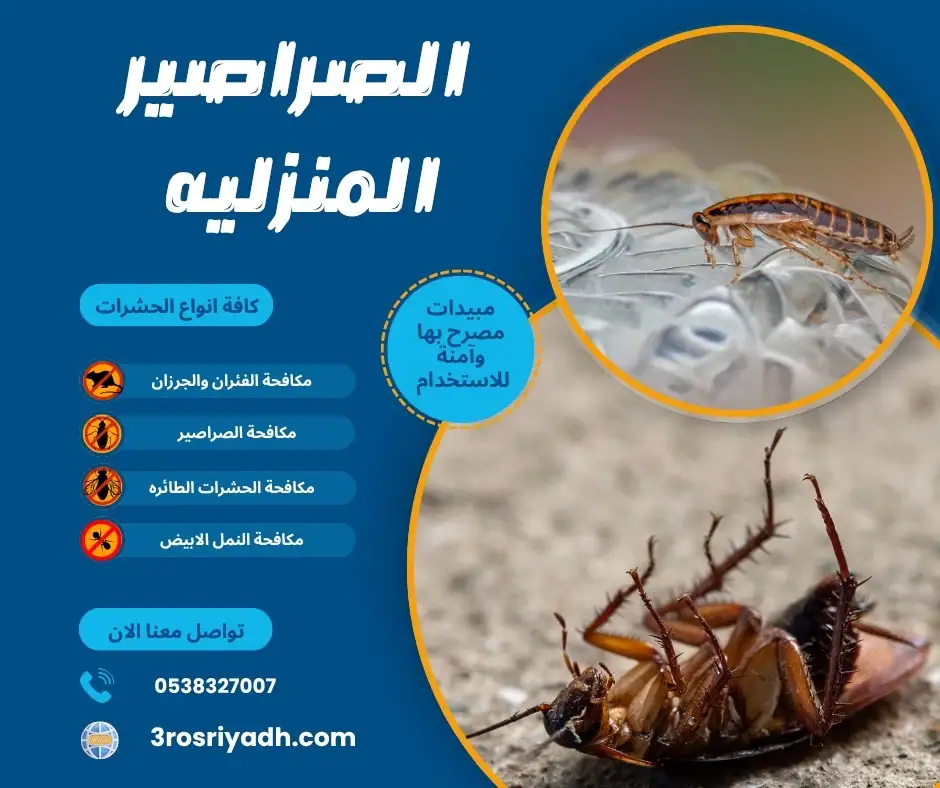 الصراصير المنزليه