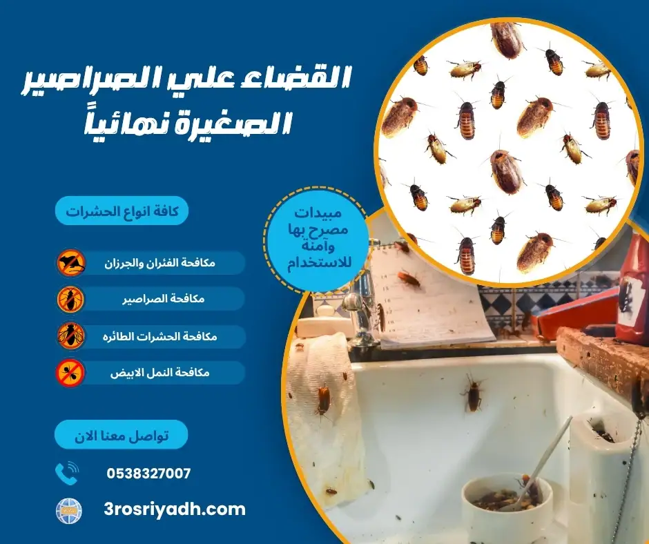 القضاء علي الصراصير الصغيرة نهائياً