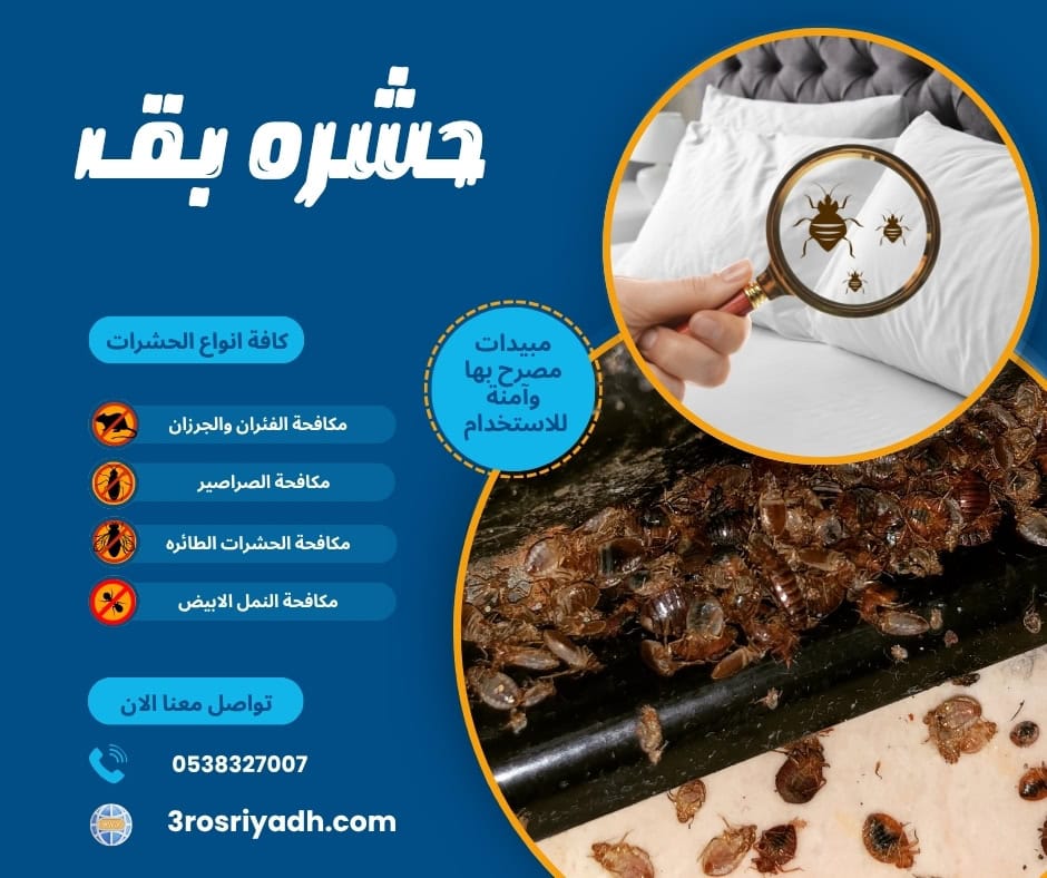 حشره بق