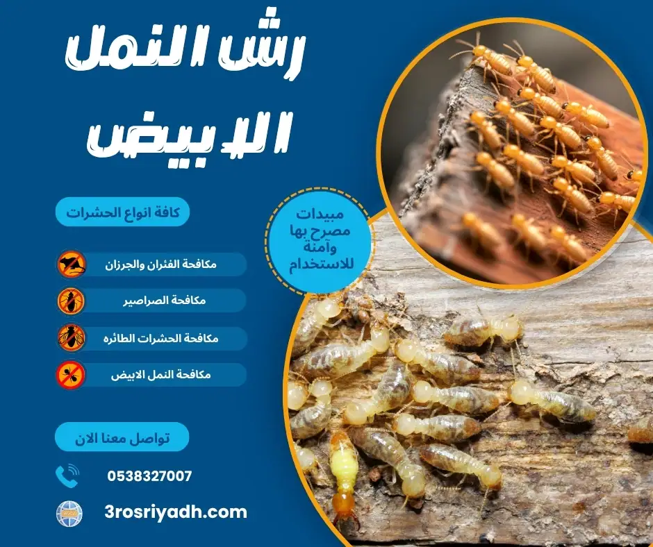 رش النمل الابيض