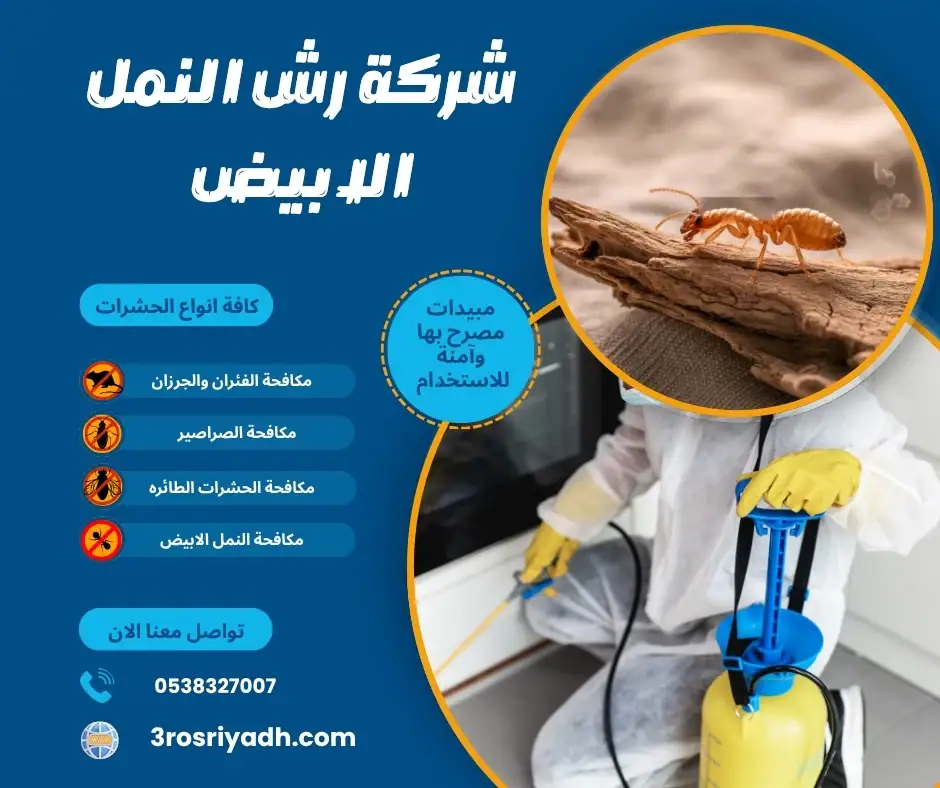 شركة رش النمل الابيض