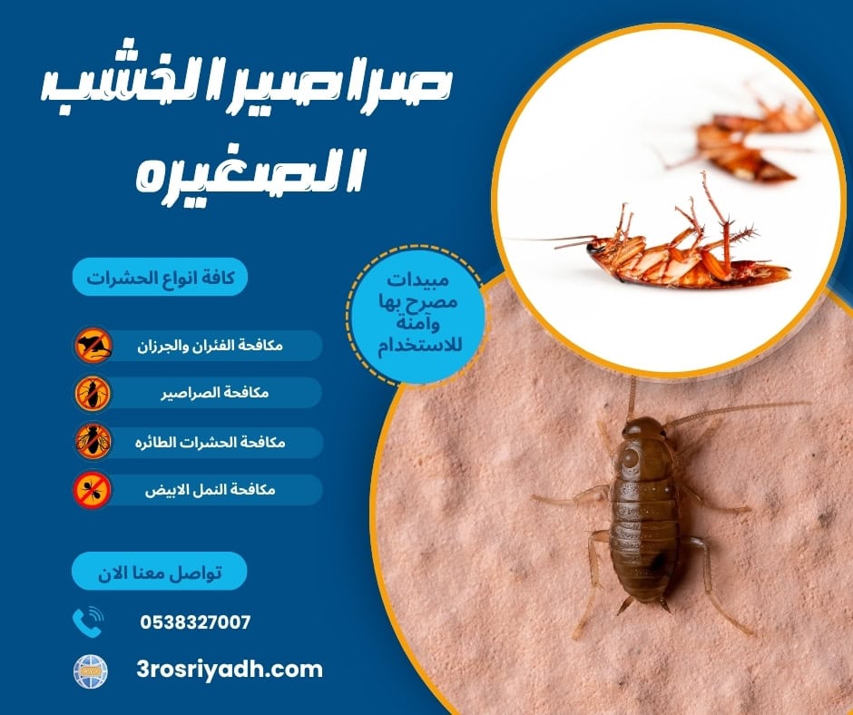 صراصير الخشب الصغيره