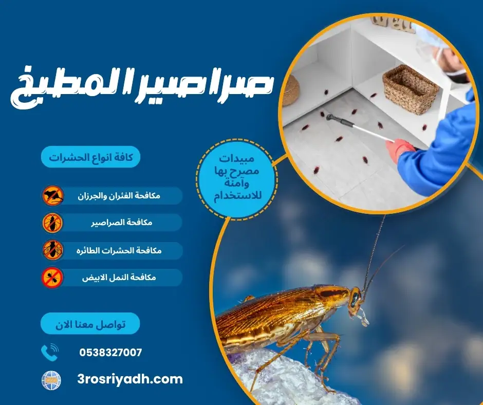 صراصير المطبخ