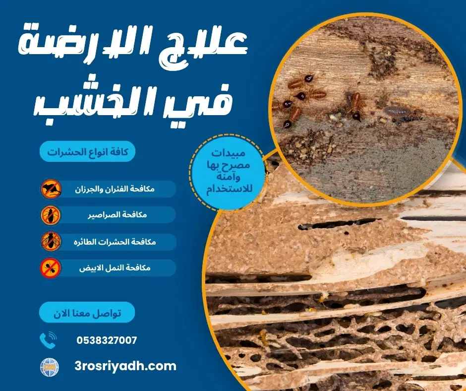 علاج الارضة في الخشب