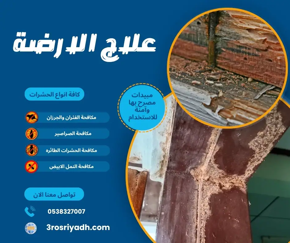 علاج الارضة