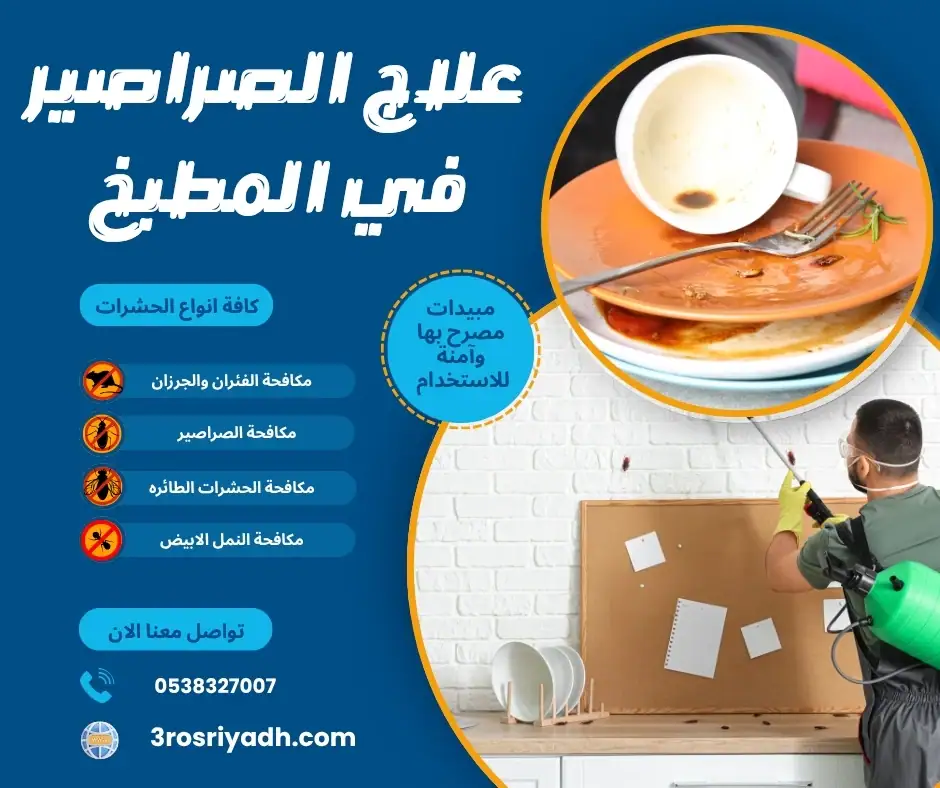 علاج الصراصير في المطبخ