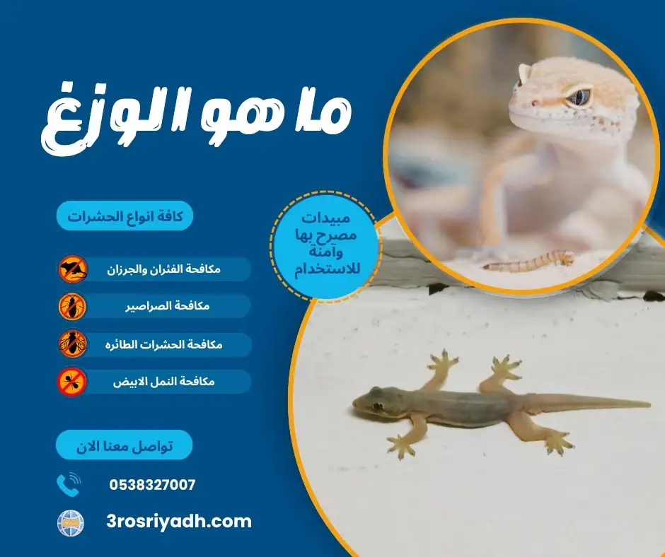 ما هو الوزغ