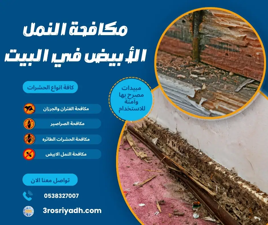 مكافحة النمل الأبيض في البيت