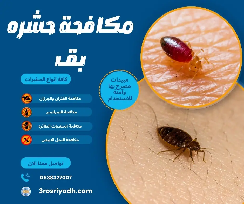 مكافحة حشره بق