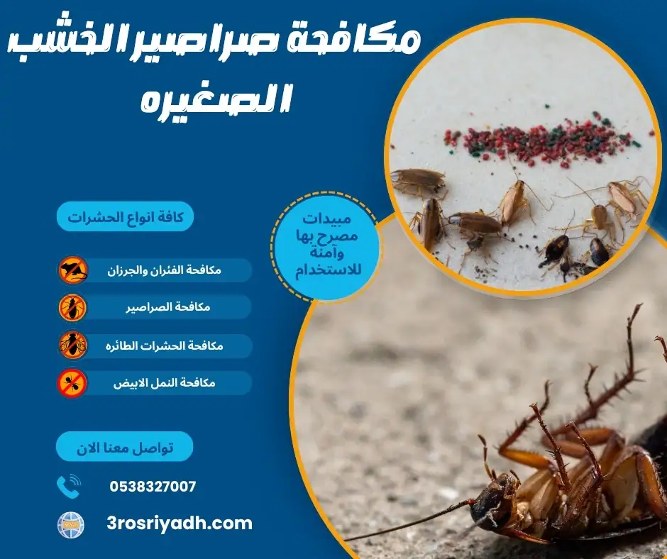 مكافحة صراصير الخشب الصغيره
