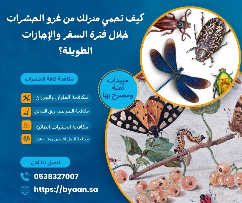 كيف تحمي منزلك من غزو الحشرات خلال فترة السفر والإجازات الطويلة؟