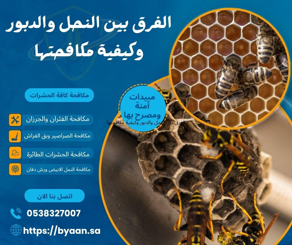 الفرق بين النحل والدبور وكيفية مكافحتها