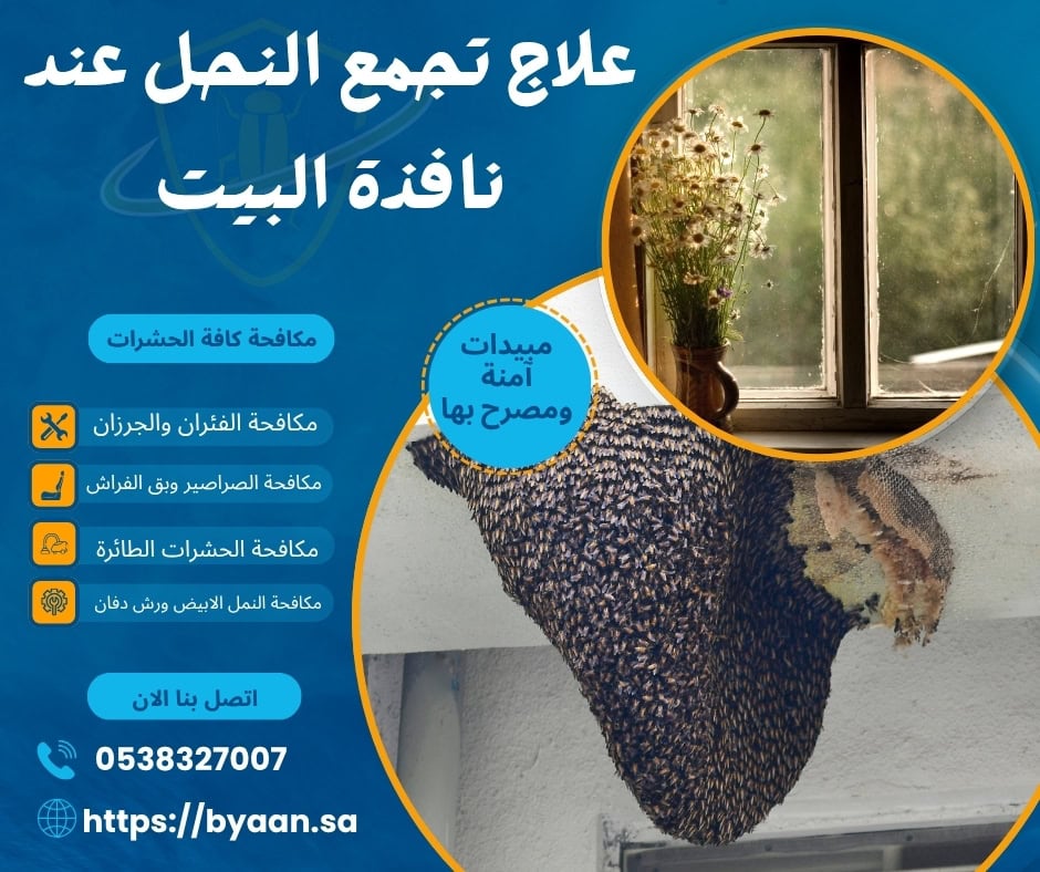 علاج تجمع النحل عند نافذة البيت
