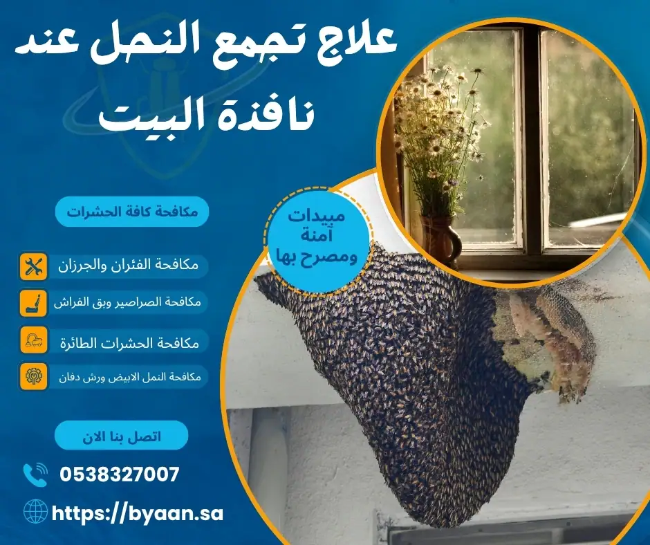 علاج تجمع النحل عند نافذة البيت