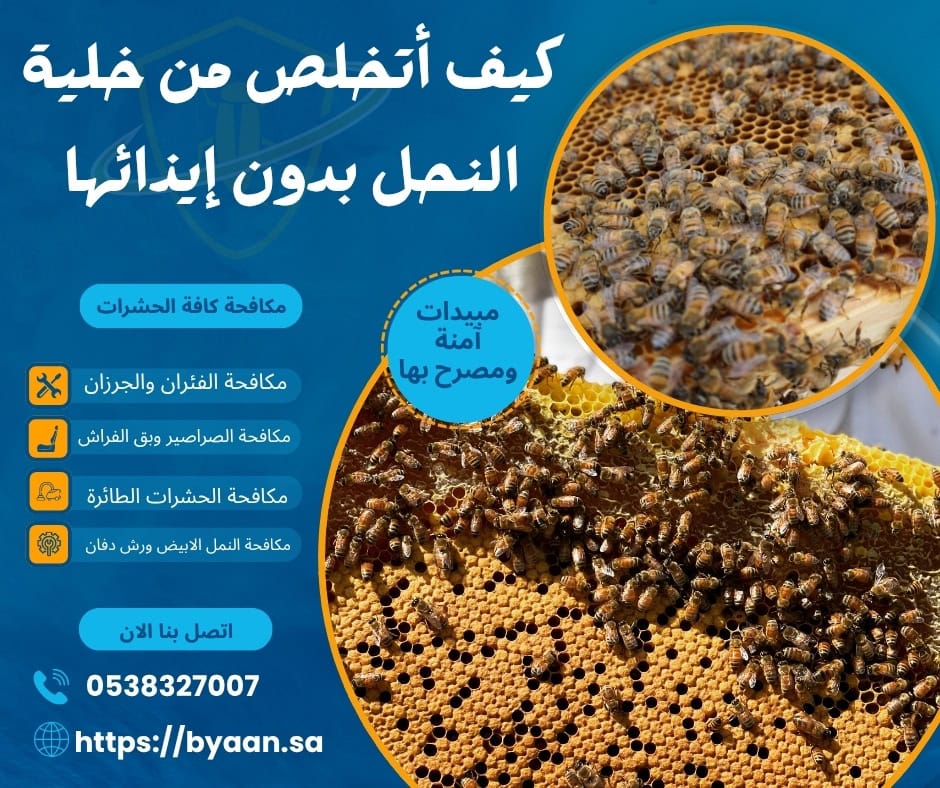 كيف أتخلص من خلية النحل بدون إيذائها