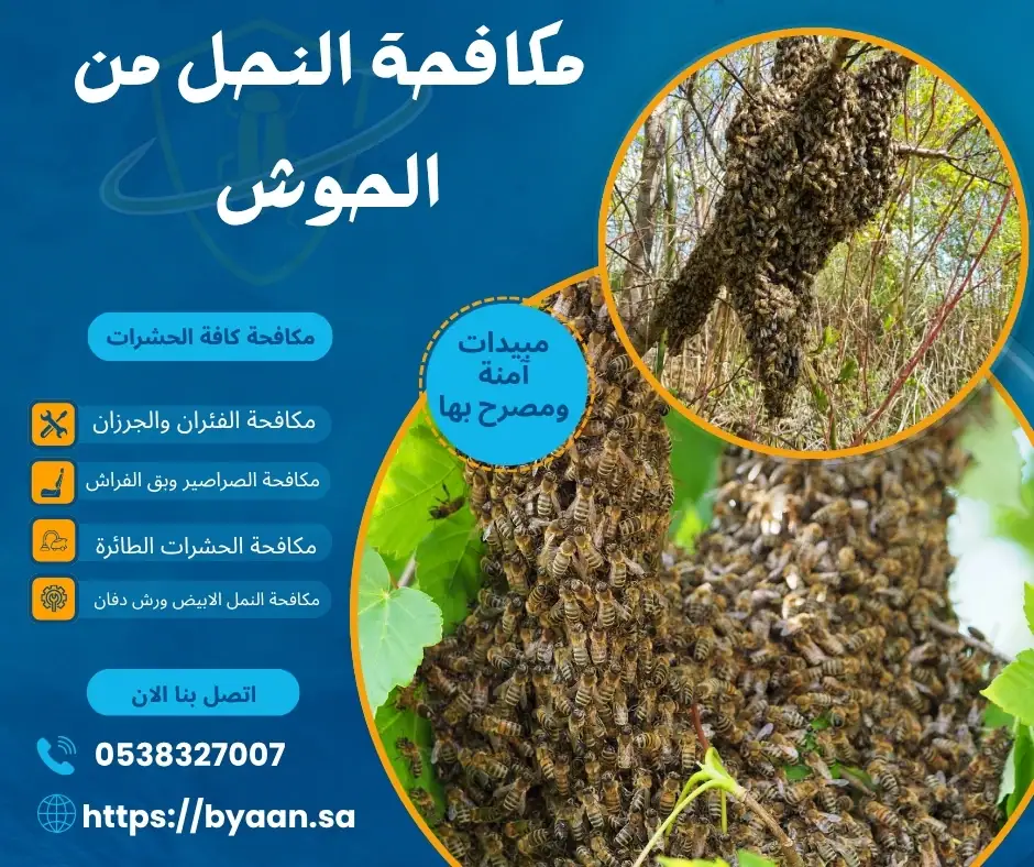 مكافحة النحل من الحوش