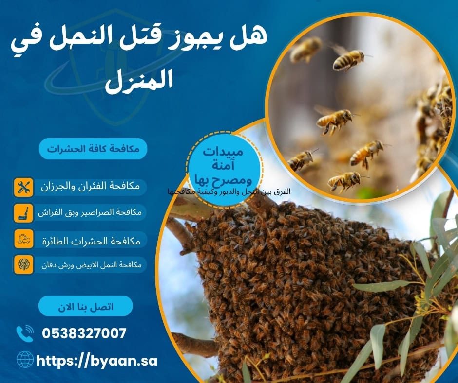 هل يجوز قتل النحل في المنزل