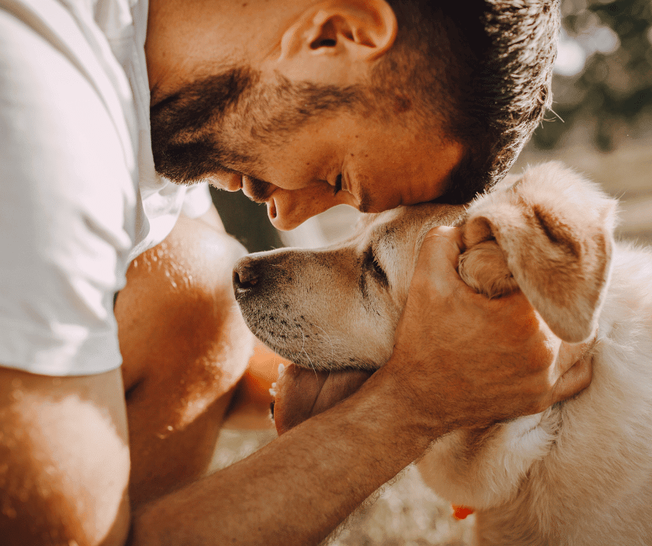 chien calme après séance Dog Déclic