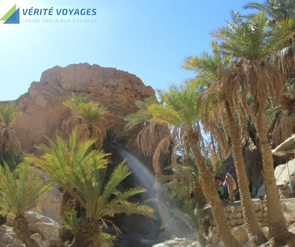 Tozeur Excursion - Mountain Oases and Star Wars Film Sets