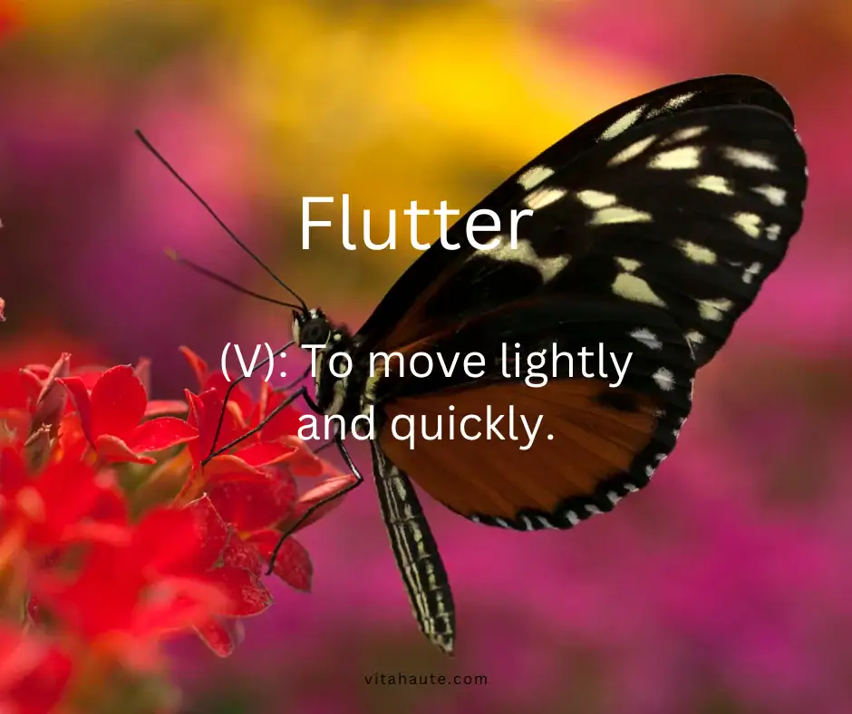 Beautiful word in English and its definition