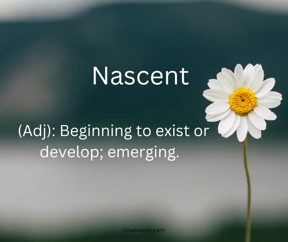 Beautiful word in English and its definition