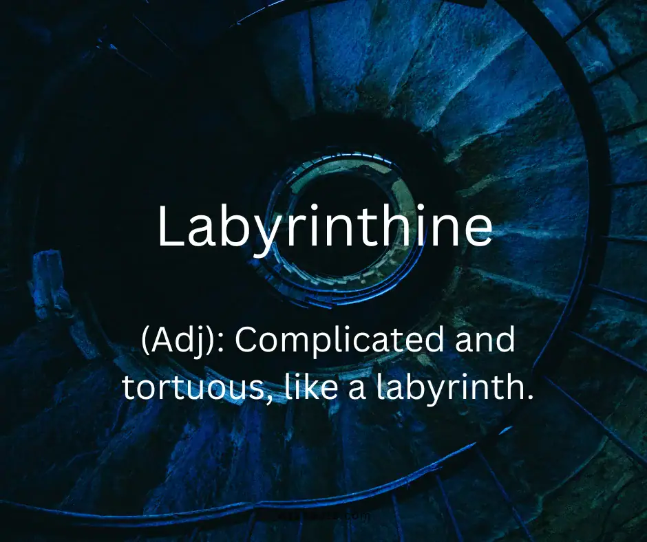 A rare English word and its definition