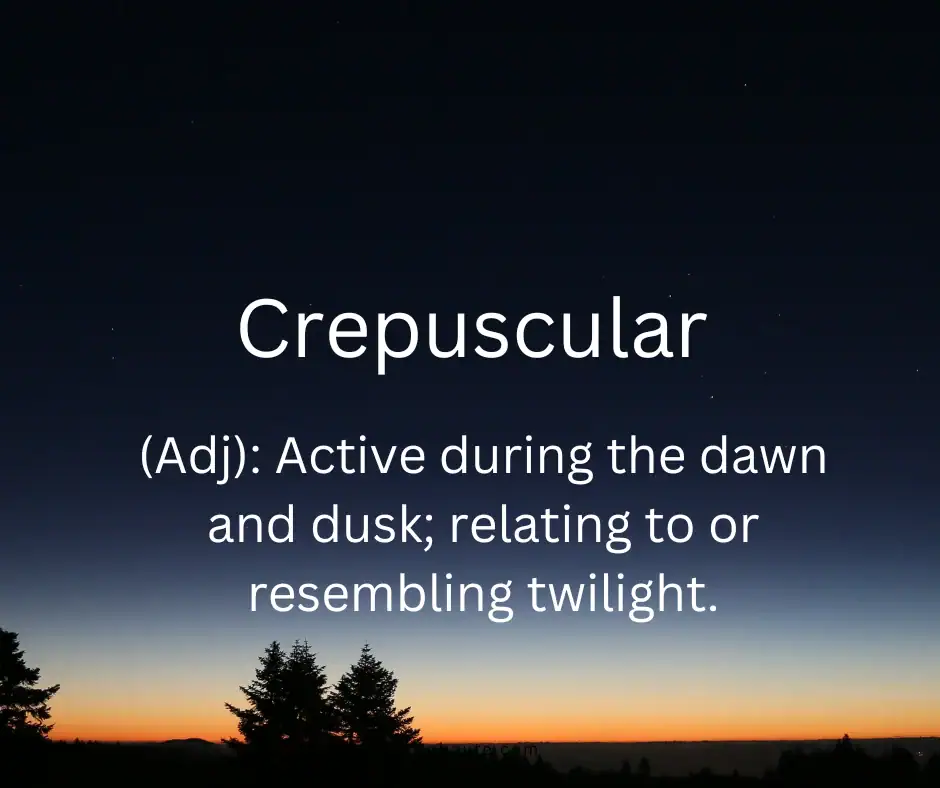 Beautiful English word and its definition