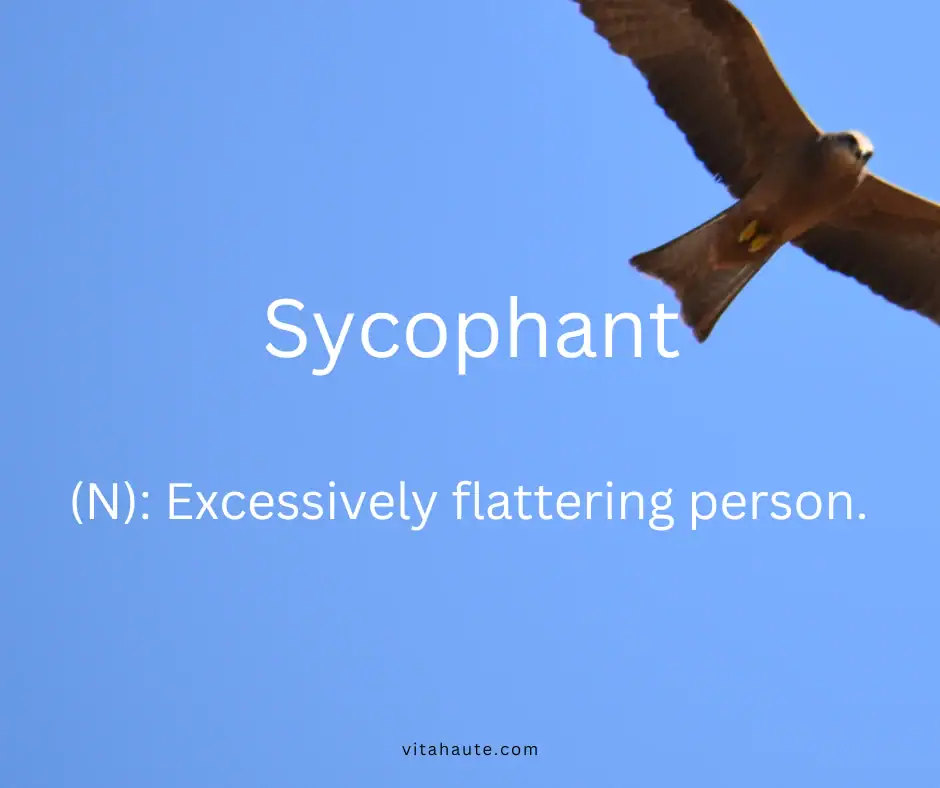 Beautiful English word and its definition