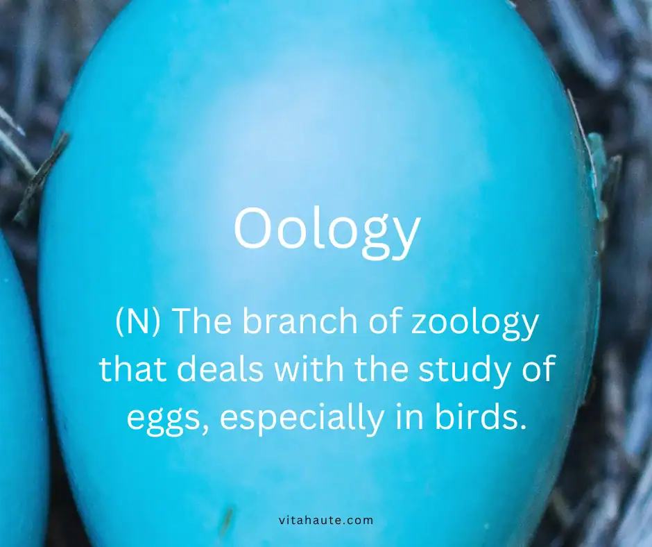 Funny English word and its definition