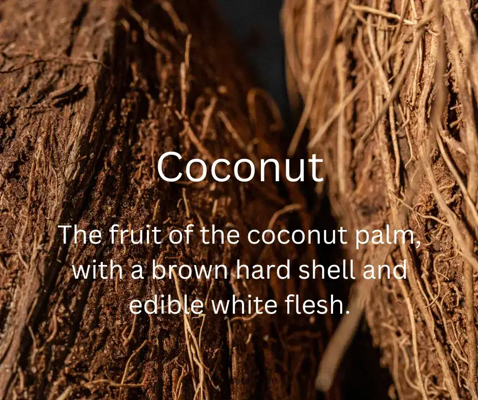 The word coconut and its definition