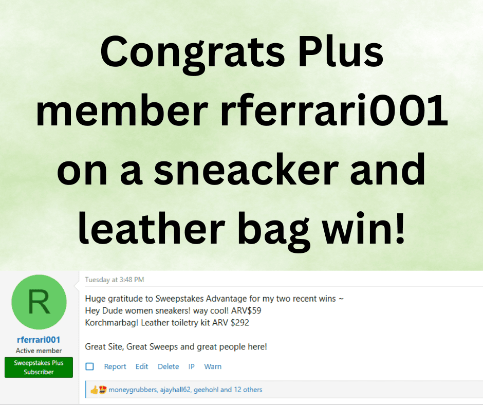 leather bag sweepstakes win