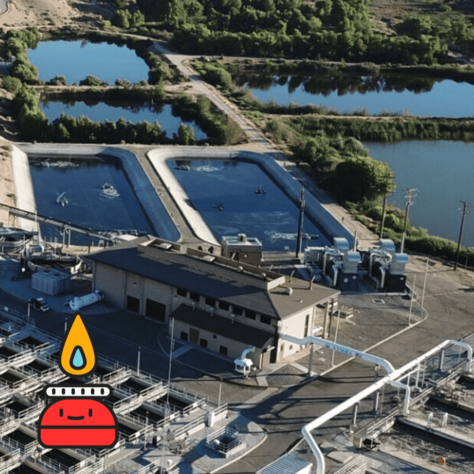 renewable natural gas