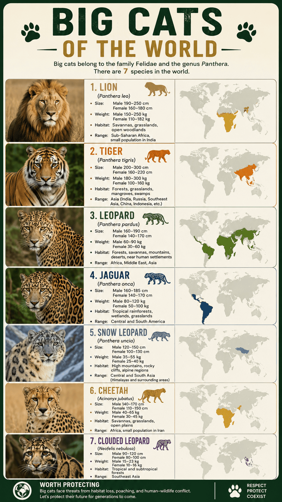 Big Cats of the World