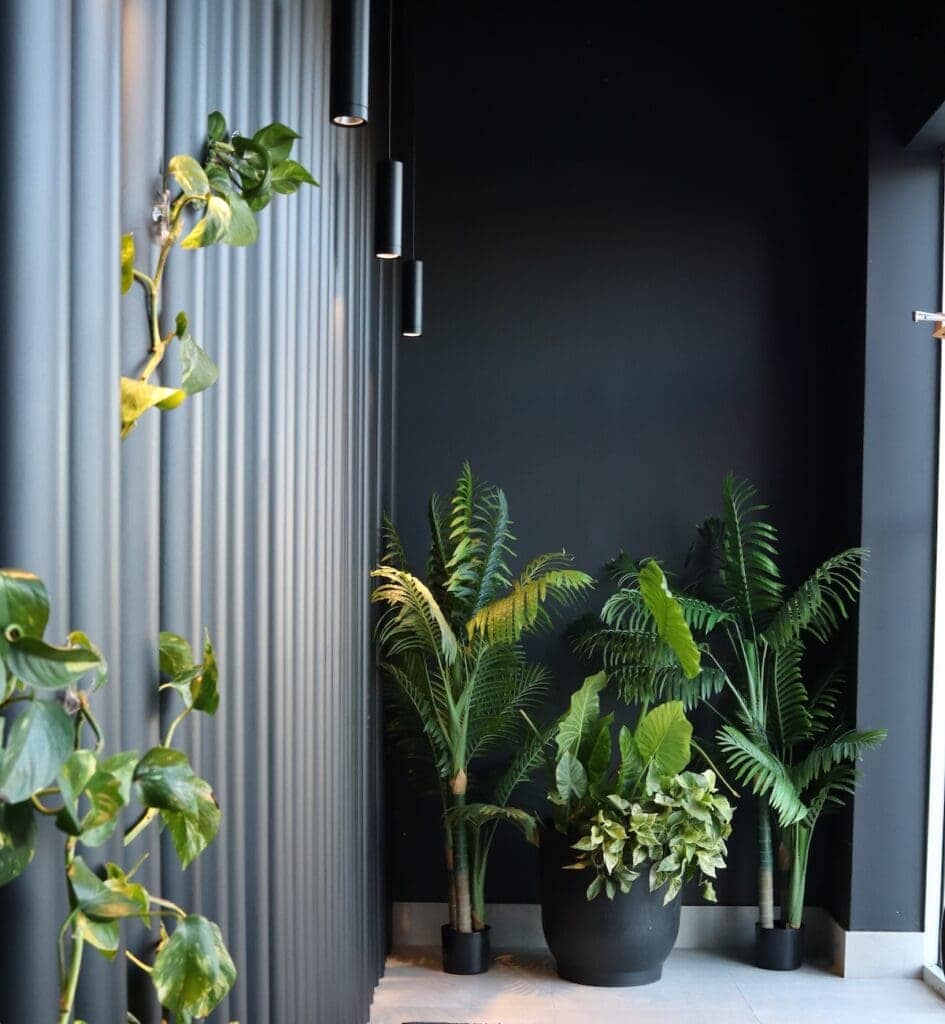 montrose-interior-cannabis