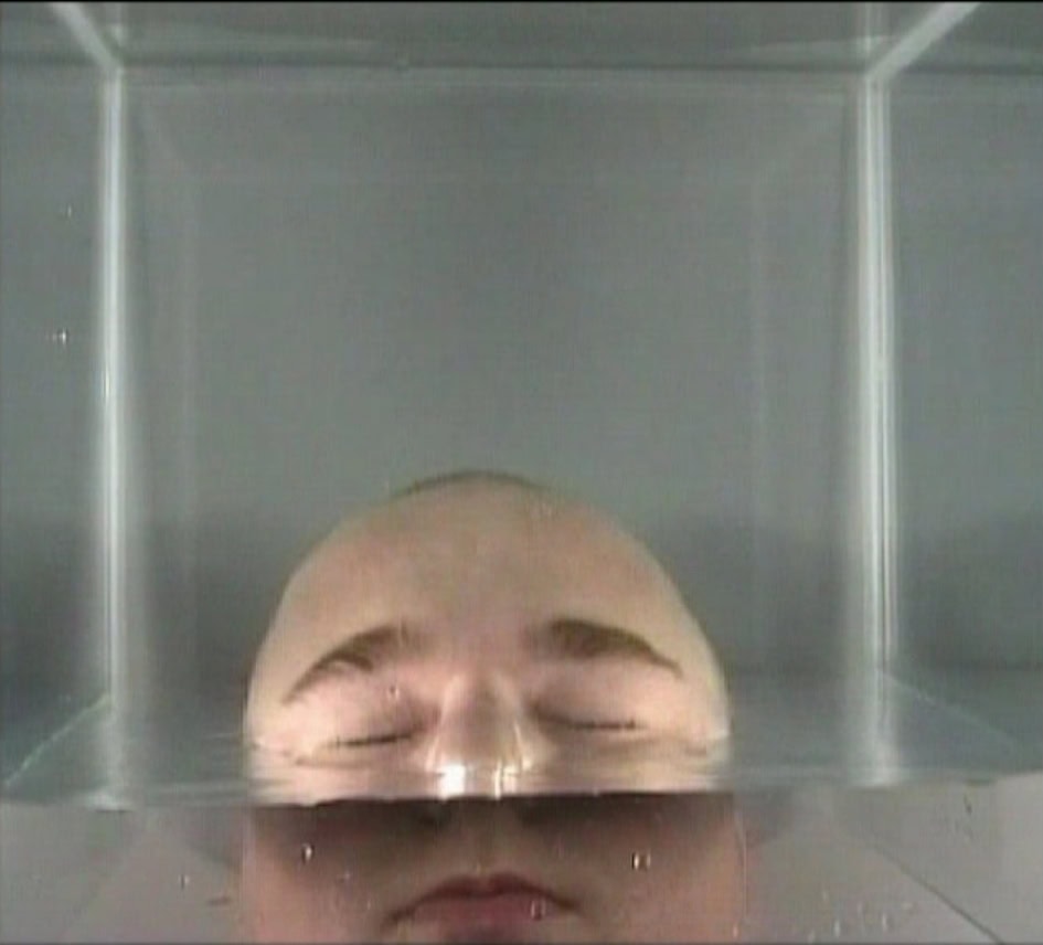 Ich bin kein Fisch / I’m not a fish