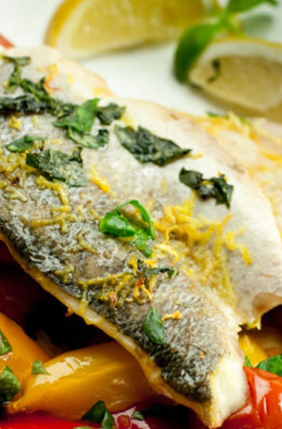 Fish Recipes