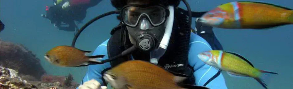 Sumérgete con Davy Jones Diving en Gran Canaria
