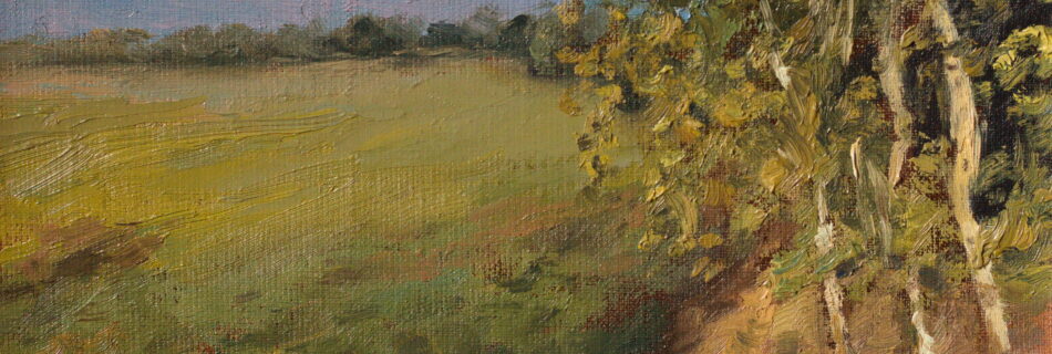Original oil painting of a summer meadow bordered by birch trees under a blue sky in the Polish countryside, by Andrea Bocedi.
