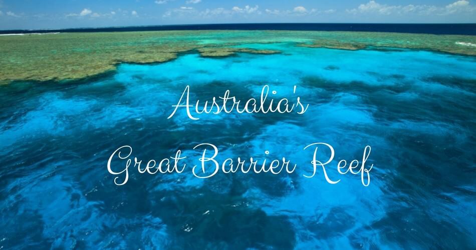 Australia's Great Barrier Reef Snorkelling and Diving Tours