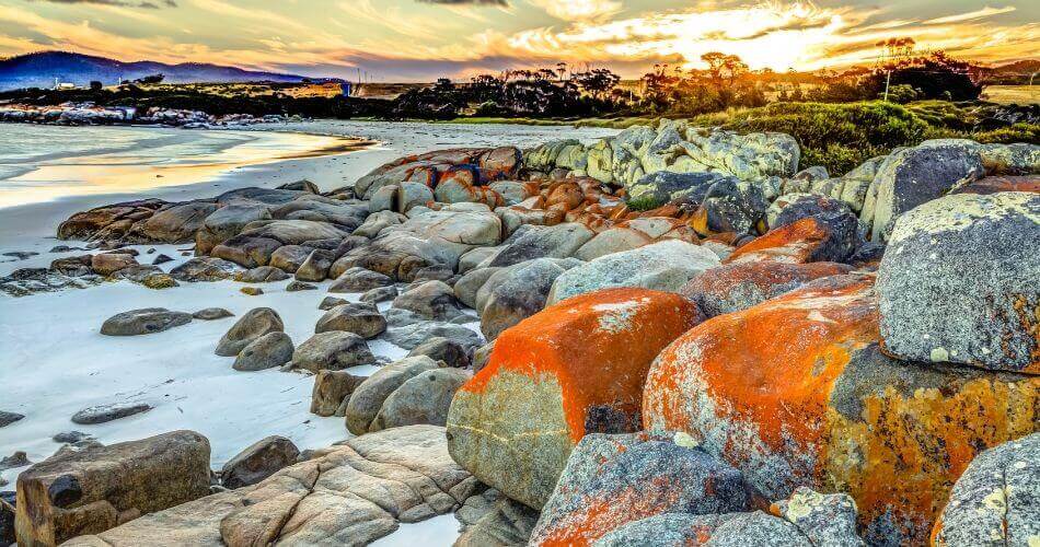 Binnalong Bay, Bay of Fires - Best Things to do in Tasmania Australia