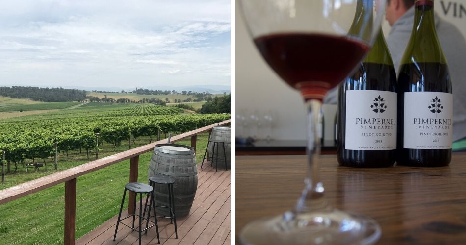Wine Tasting Tours of The Yarra Valley