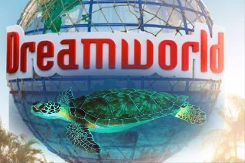 Dream World Passes & Turtles Snorkelling