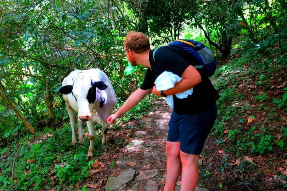 Animals at Juan Curi Waterfall