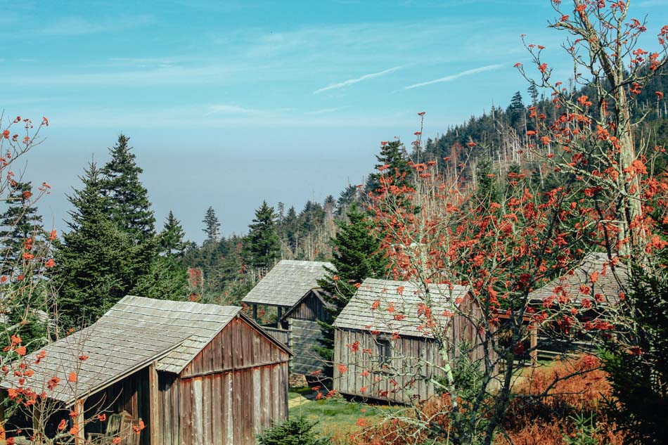 Wooden lodges and accommodations of LeConte Lodge atop Mt. LeConte in Great Smoky Mountains National Park.