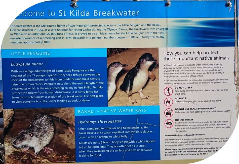 Luna-Park-St-Kilda (10)