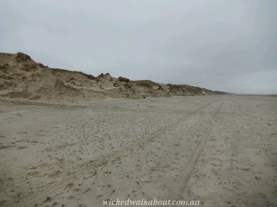 DSCN0177